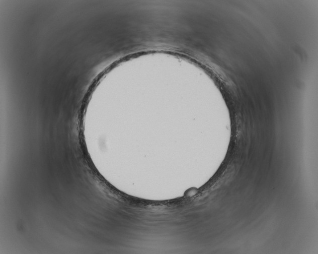 X0000110321264200907021154