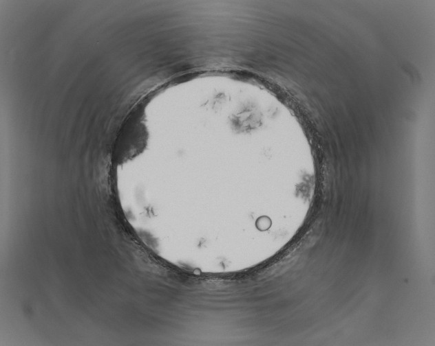 X0000110321265200907021154