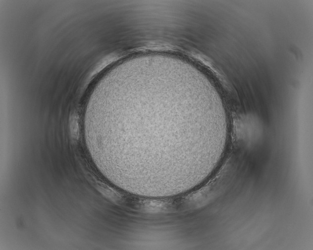 X0000110321266200907021154