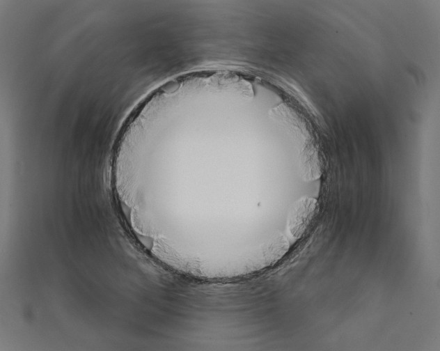 X0000110321268200907021154