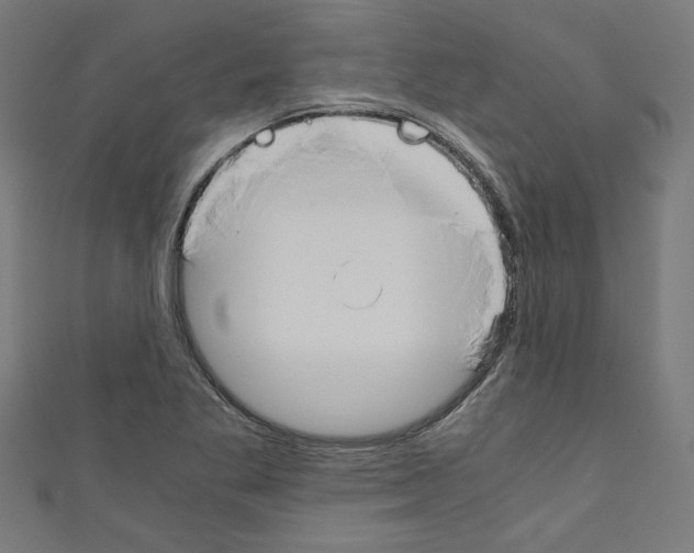 X0000110321269200907021154