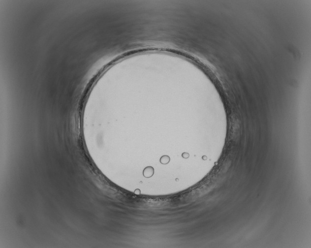 X0000110321271200907021154