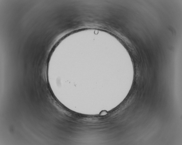 X0000110321272200907021154