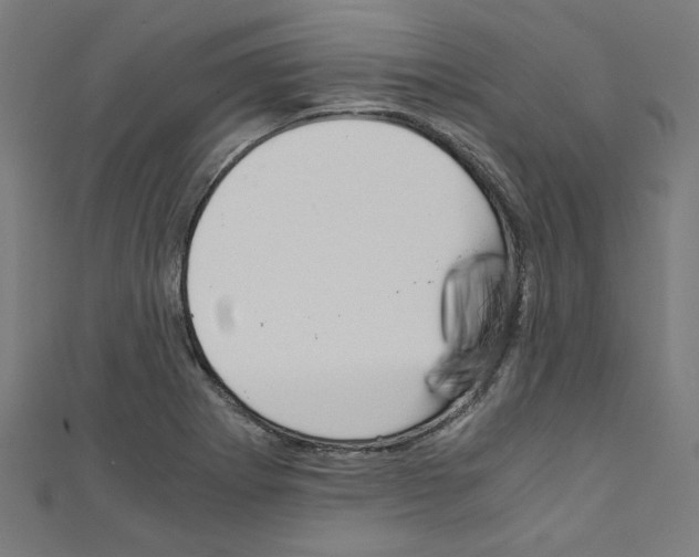 X0000110321273200907021154