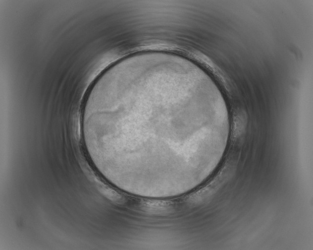 X0000110321274200907021154