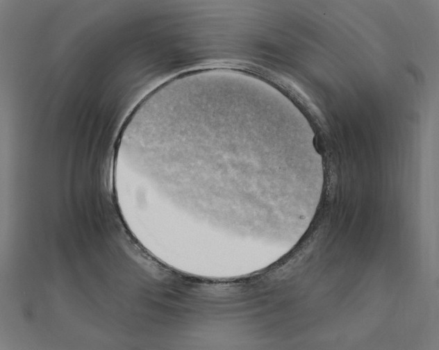 X0000110321276200907021154