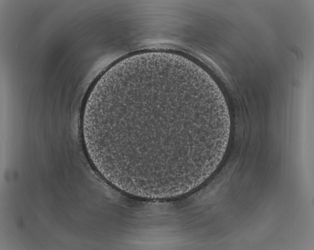 X0000110321277200907021154