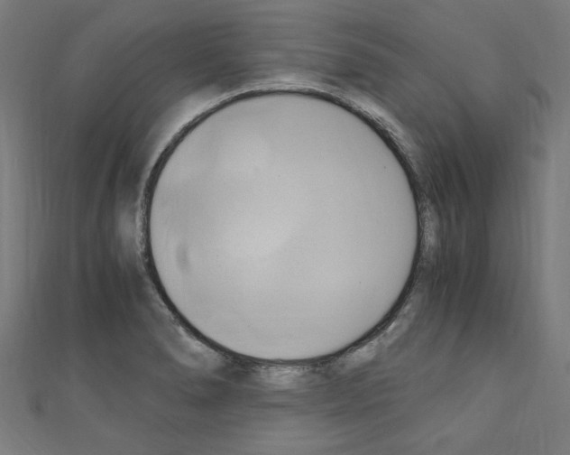 X0000110321278200907021154