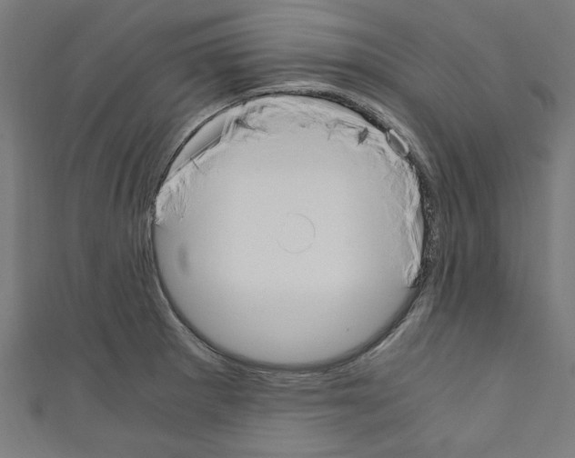 X0000110321281200907021154