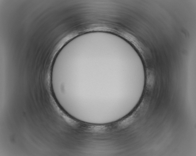 X0000110321282200907021154