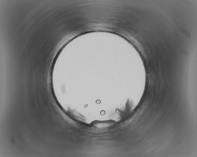 X0000110321285200907021154