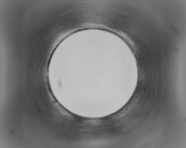 X0000110321287200907021154