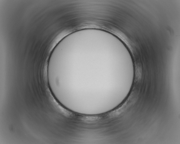 X0000110321290200907021154