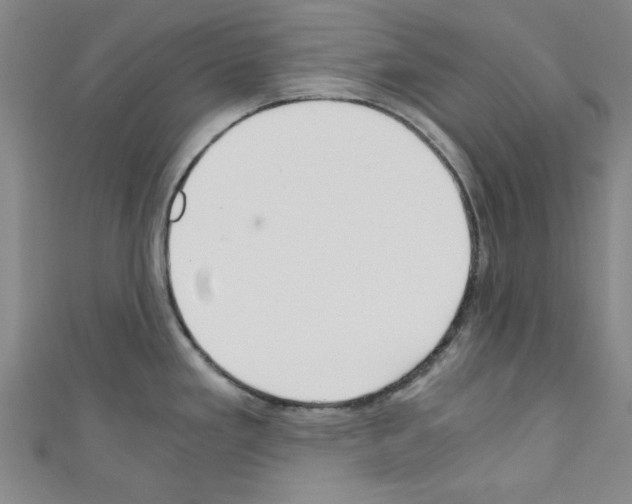 X0000110321293200907021153