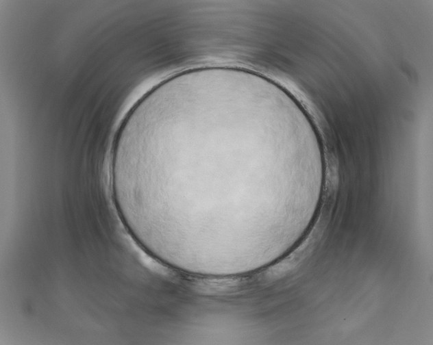 X0000110321294200907021153