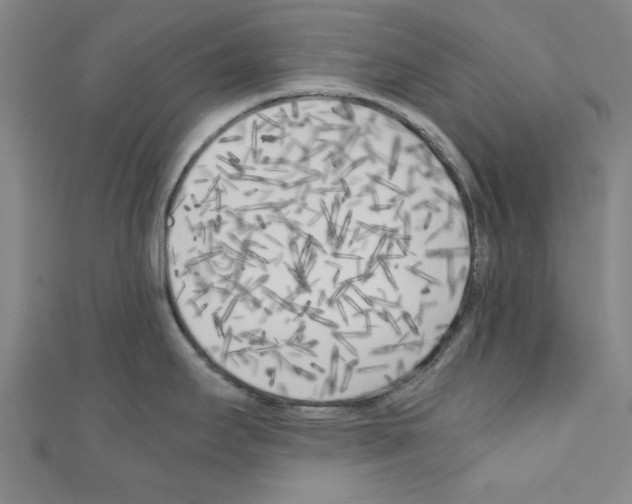 X0000110321295200907021153