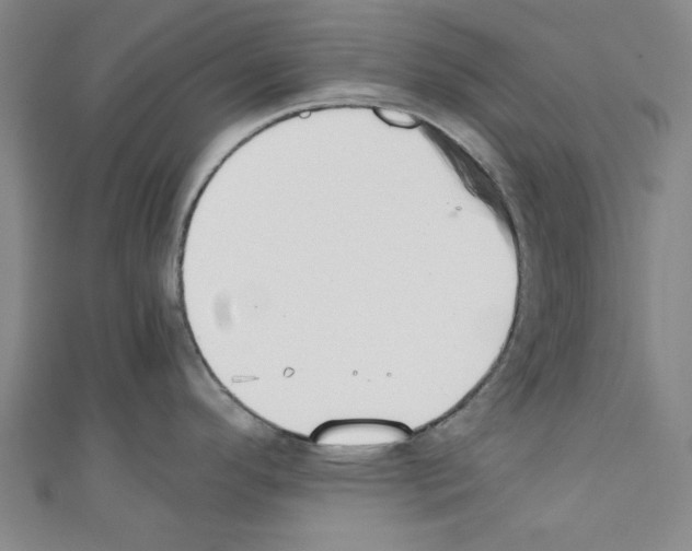 X0000110321296200907021153