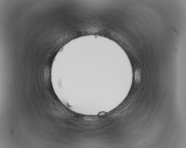 X0000110321299200907021153