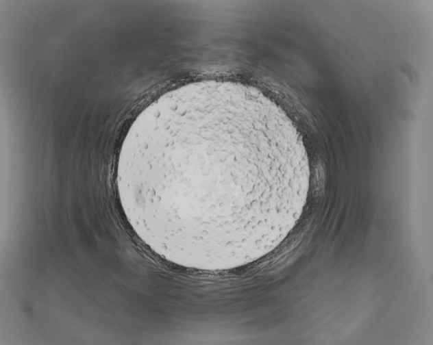 X0000110321300200907021153