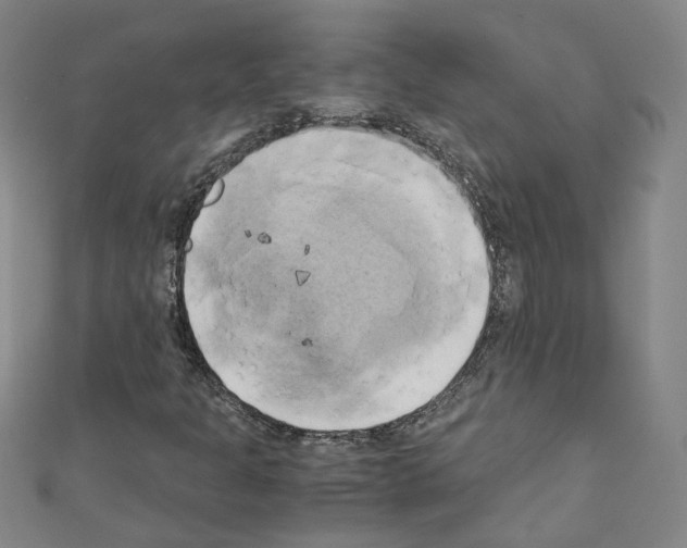 X0000110321301200907021153