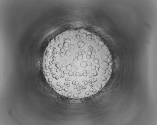 X0000110321302200907021153