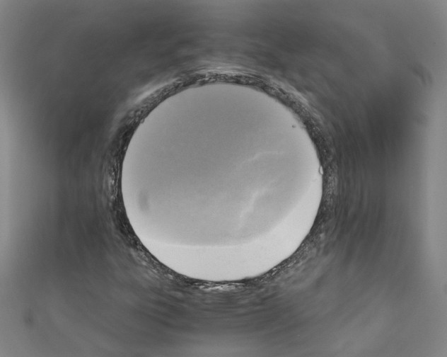 X0000110321303200907021153