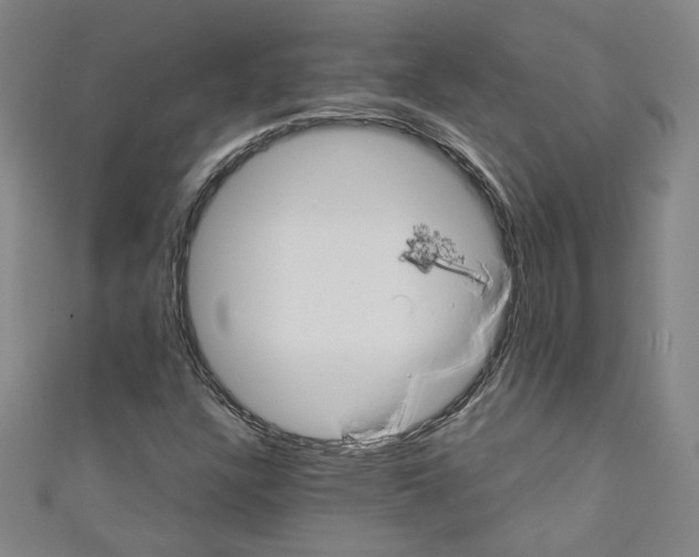 X0000110321304200907021153