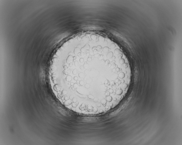 X0000110321305200907021153