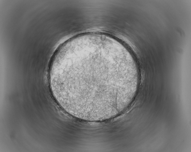 X0000110321308200907021153