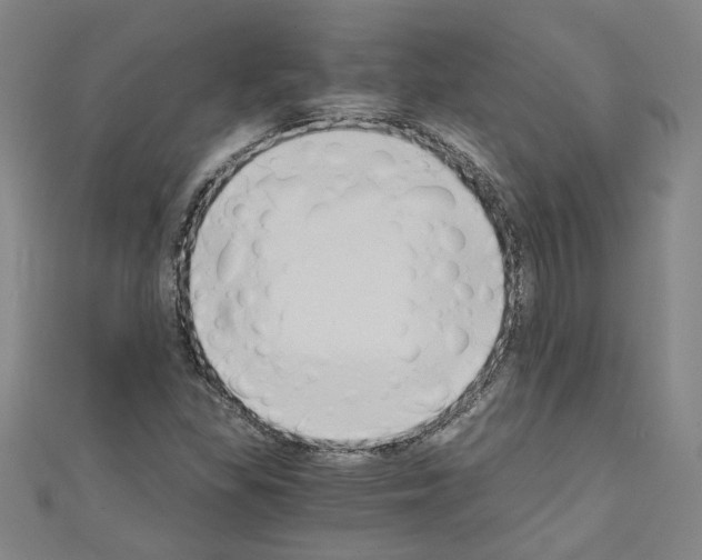 X0000110321309200907021153