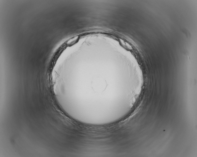 X0000110321310200907021153