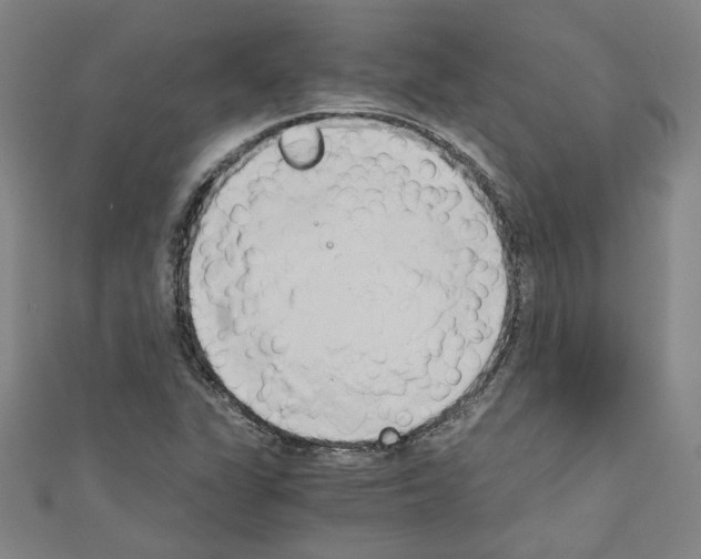 X0000110321311200907021153