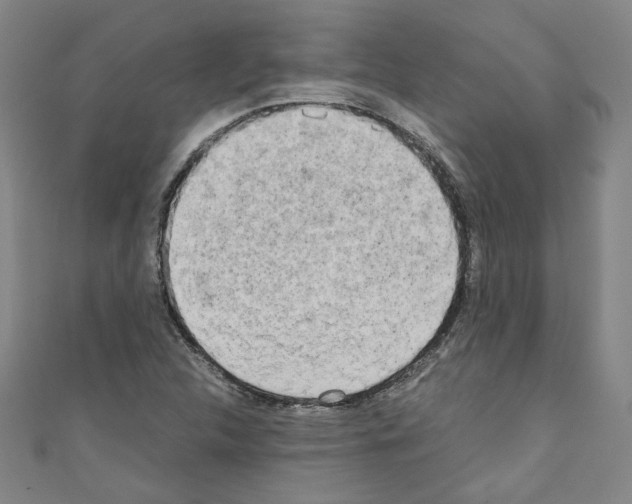 X0000110321312200907021153