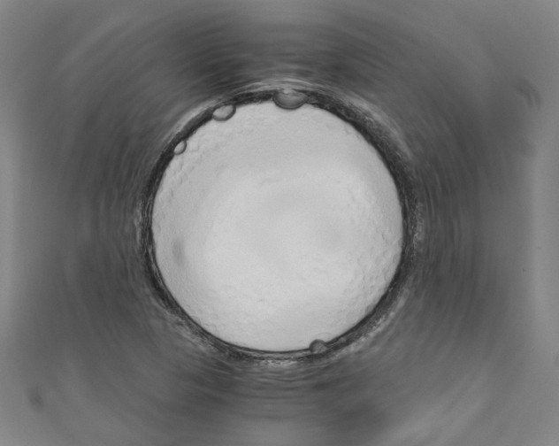 X0000110321313200907021153