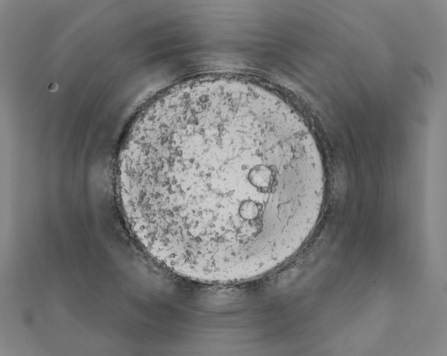 X0000110321314200907021153