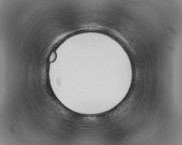 X0000110321315200907021153