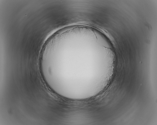 X0000110321316200907021153