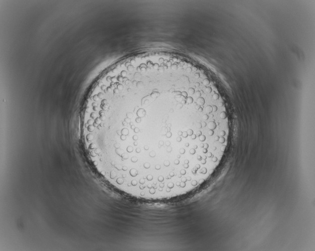 X0000110321317200907021153