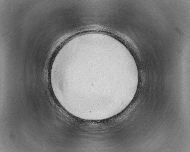 X0000110321318200907021153