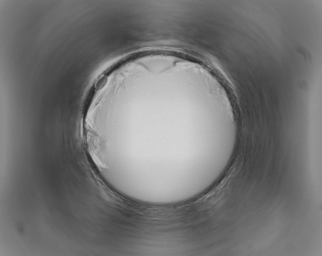 X0000110321320200907021153