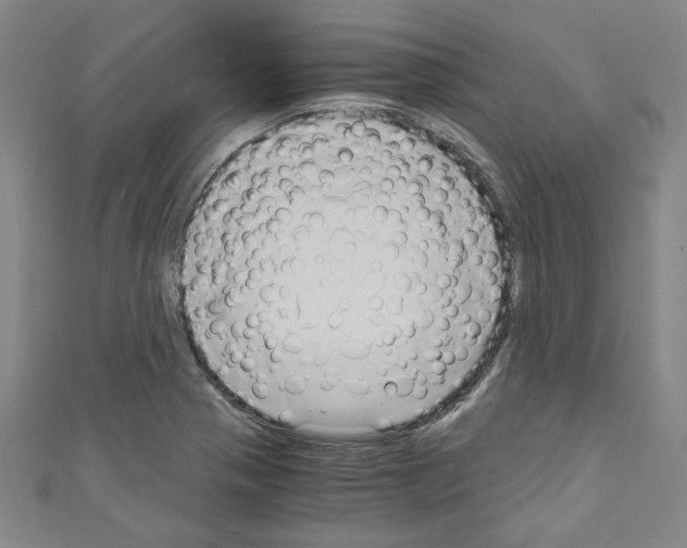 X0000110321321200907021153