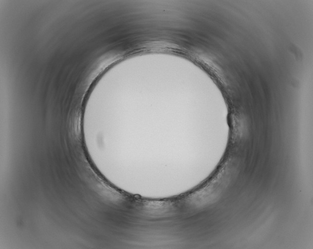 X0000110321322200907021153