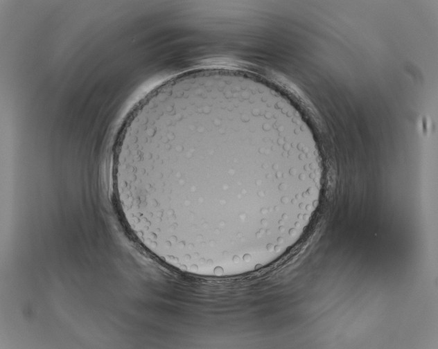 X0000110321323200907021153