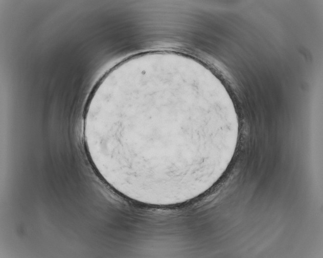 X0000110321324200907021153