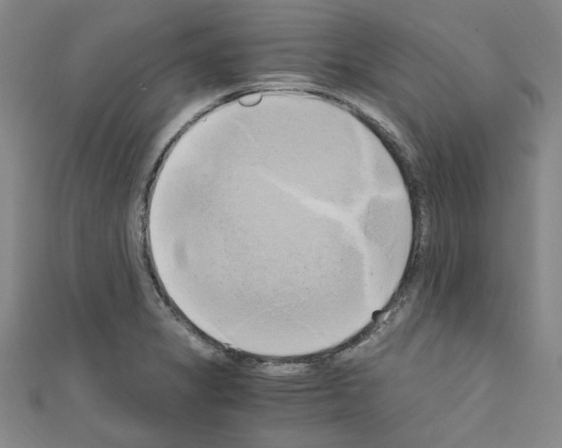 X0000110321325200907021153