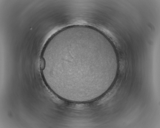 X0000110321326200907021153