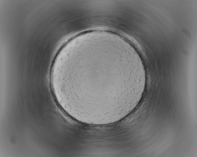 X0000110321327200907021153