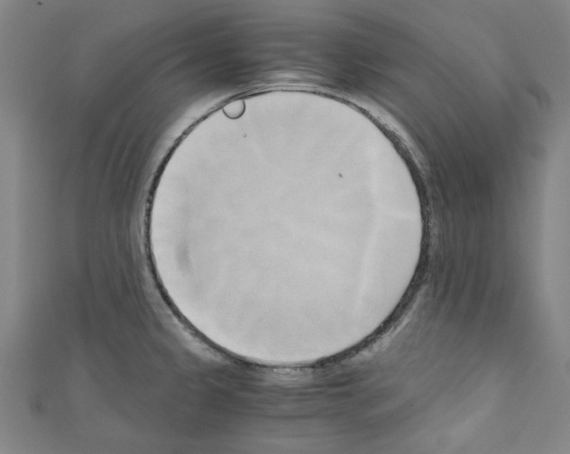 X0000110321333200907021153