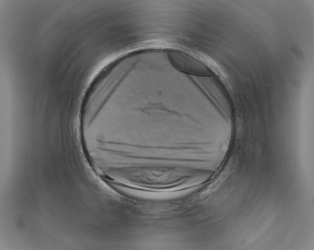 X0000110321334200907021153