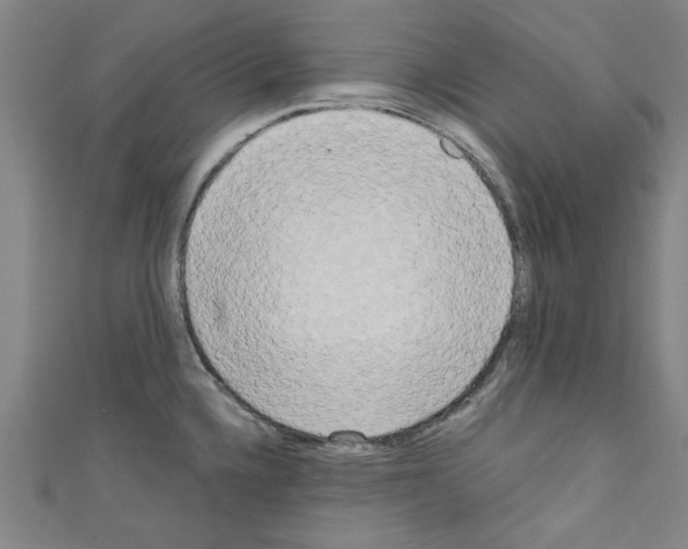 X0000110321336200907021153